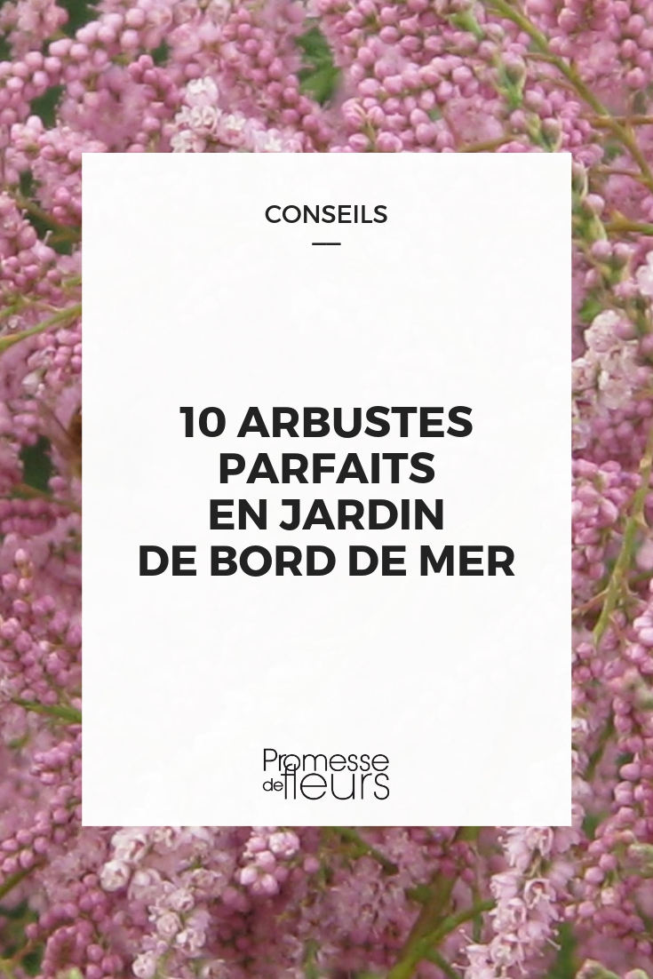 Arbres à croissance rapide : notre sélection - Promesse de Fleurs