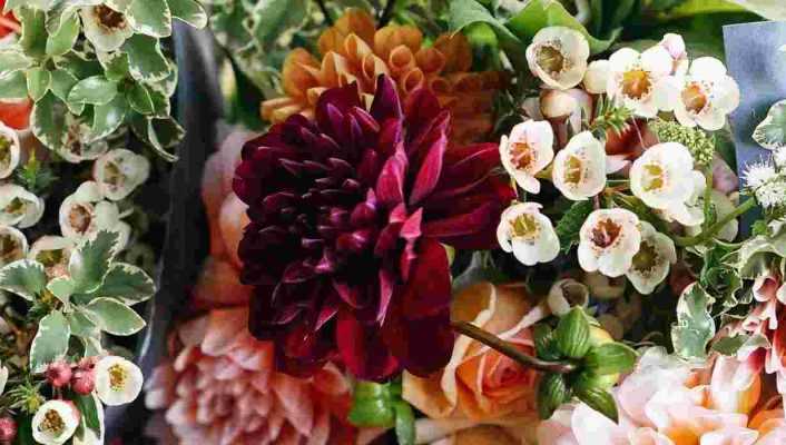 Créer un jardin de fleurs à couper pour faire ses bouquets