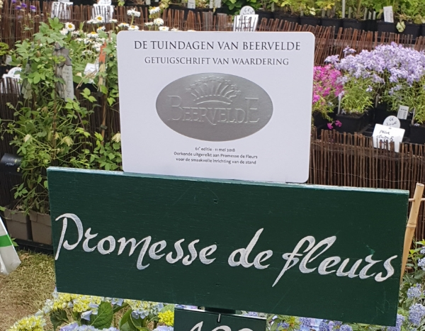 Promesse de Fleurs récompensé à Beervelde - Mai 2019