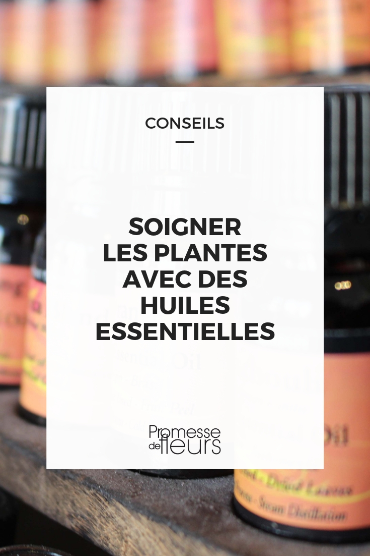 Comment utiliser l'huile essentielle de tea tree ? - Magazine Avantages