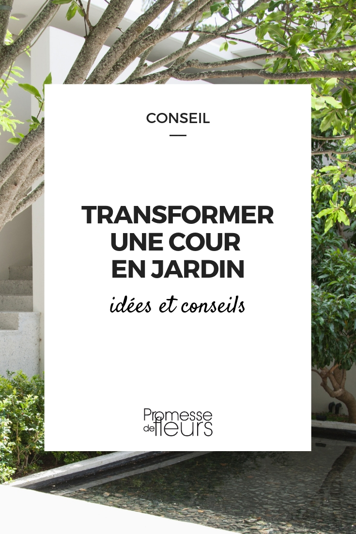 aménager une cour en jardin