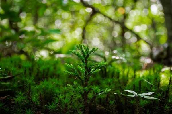 J’ai testé pour vous : une formation en permaculture