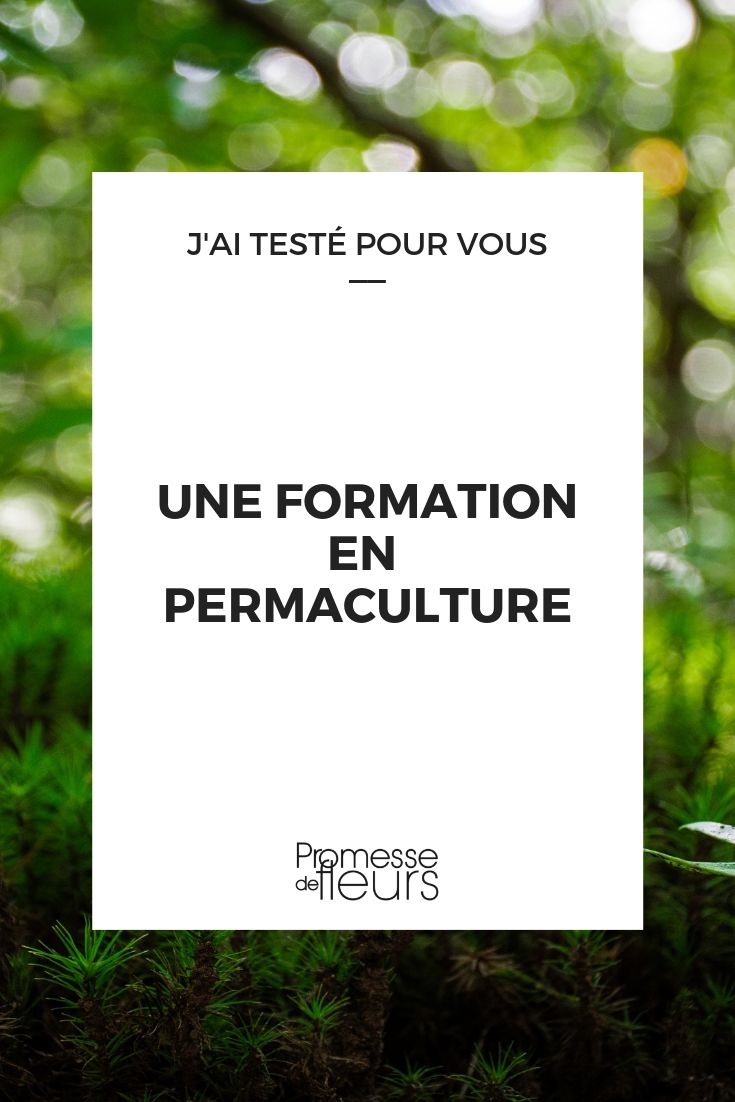 formation permaculture, expérience