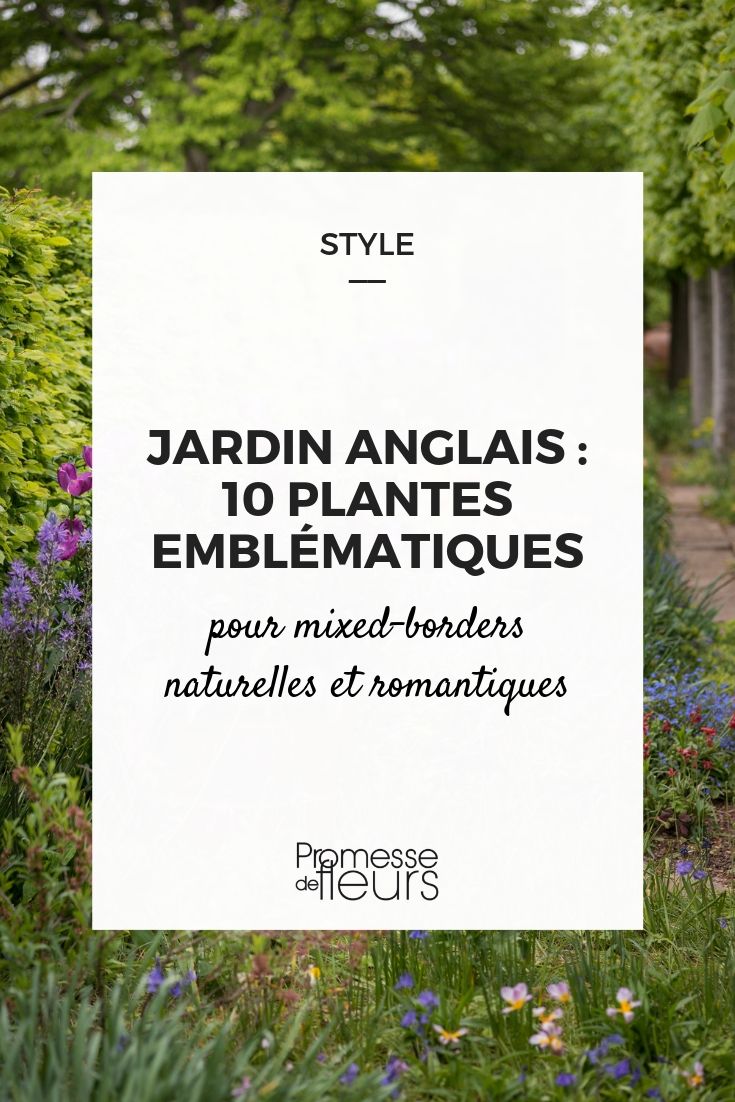 plantes pour jardin anglais