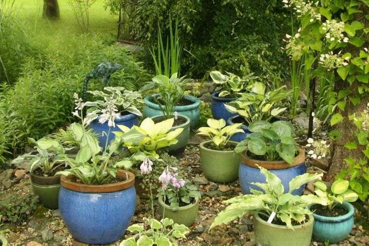 Bouchon de jardin ornemental de rouille, 4 oiseaux en métal avec vis,  oiseaux Décoration de silhouette de jardin, ornement de jardin en métal