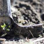 Jardiner en terre lourde et humide