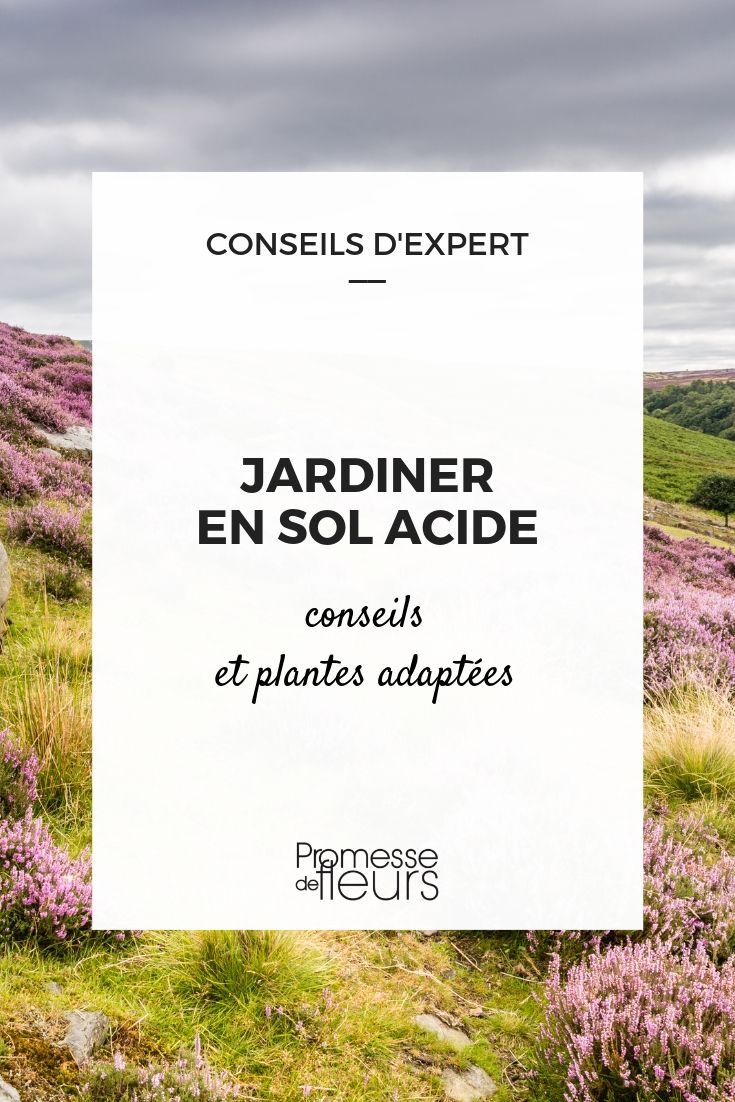 terre acide au jardin