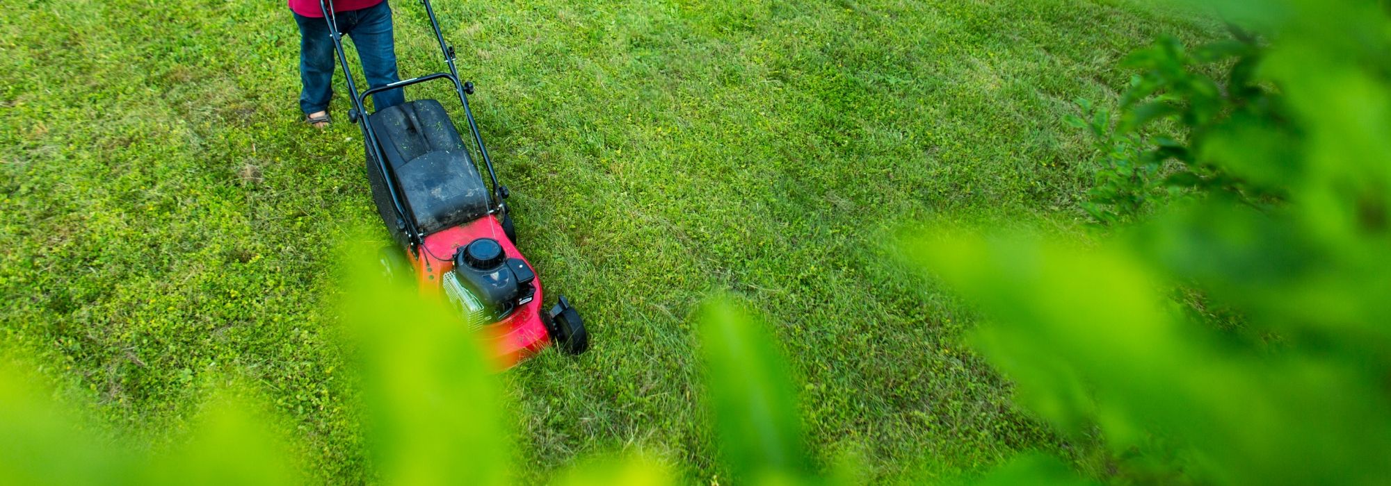 Comment semer un nouveau gazon ? - Mon jardin d'idées