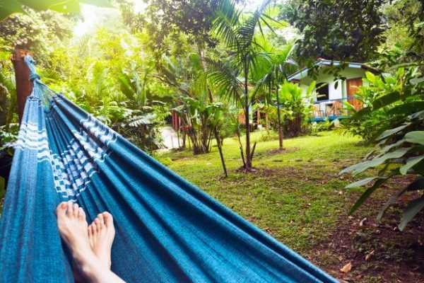 Préparez votre jardin pour les vacances : tout ce qu'il faut faire avant de partir !