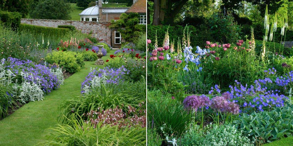 Jardin anglais : 10 plantes emblématiques pour l'aménager