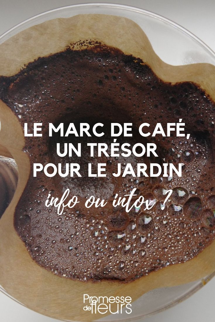 marc de café jardin