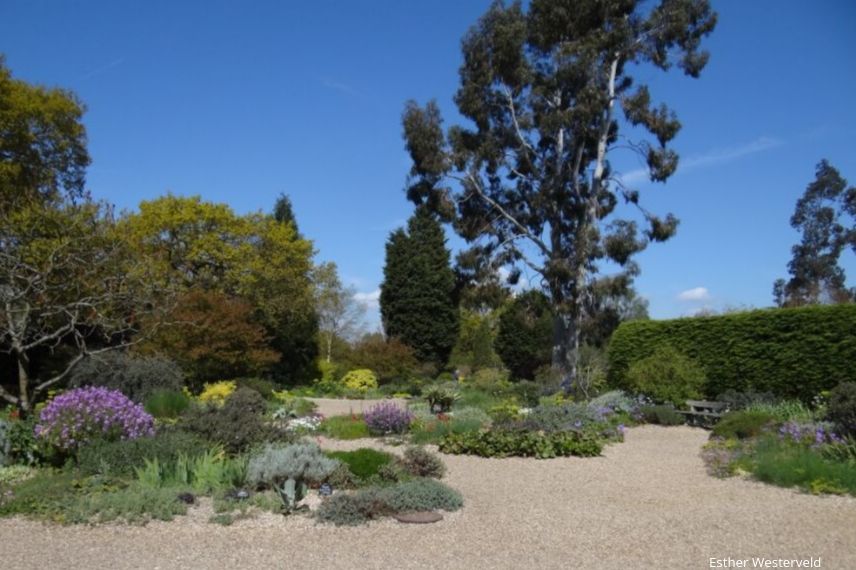 Les avantages du gravier dans le jardin - Cmonjardinier