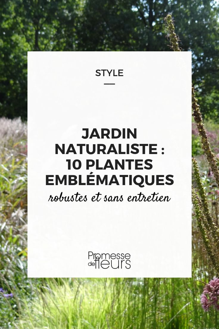 plantes vivaces jardin naturel et naturaliste