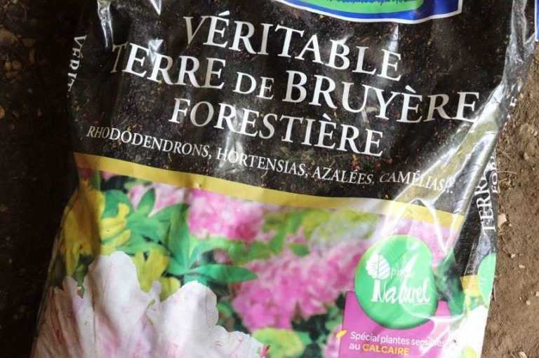 Terre De Bruyere Pour Pivoine