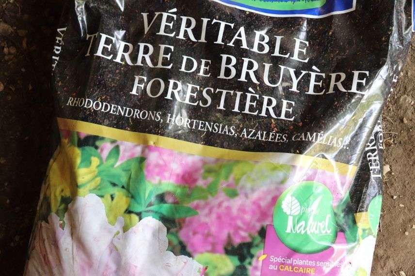 véritable terre de bruyère