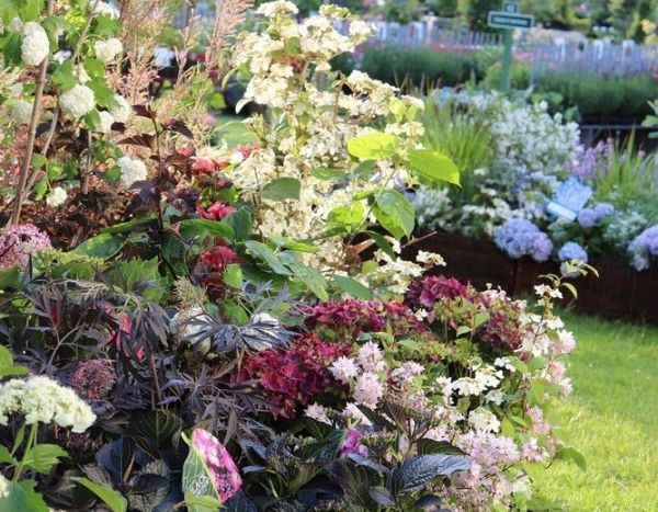 Fêtes des Plantes automne 2019 - Agenda