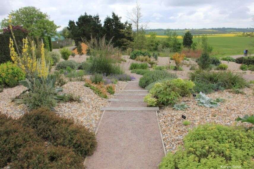 aménager un jardin de gravier ou gravel garden