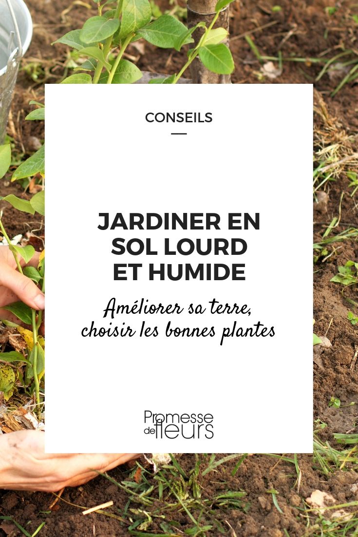 sol lourd et humide au jardin : conseils