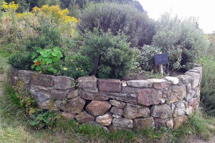 créer une spirale d'aromatiques