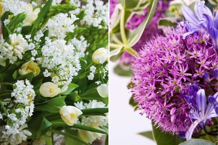 allium bouquet