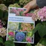 Hortensias et Hydrangéas d’aujourd’hui de Thierry de Ryckel - Editions Ulmer