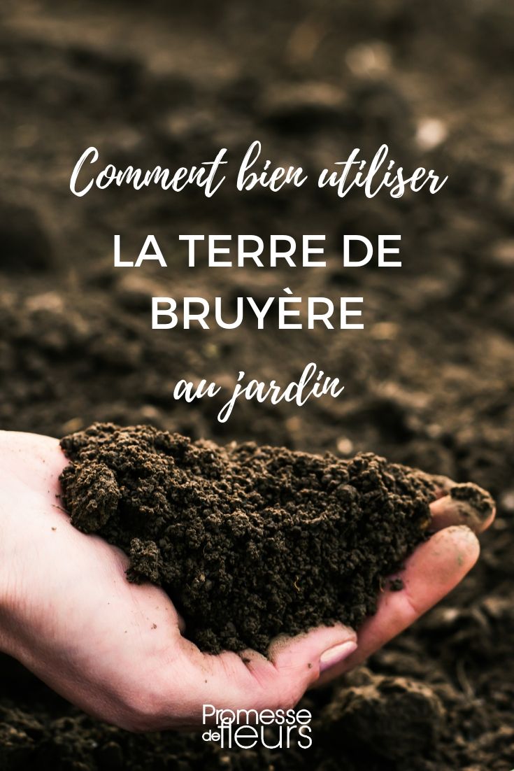 Terre de bruyère : comment bien l'utiliser au jardin ? Nos conseils