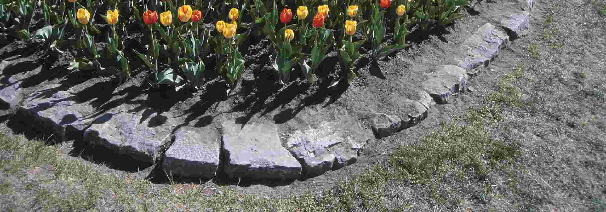 Faire des bordures de jardin - Côté Maison