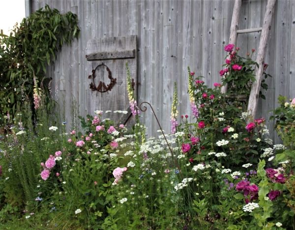 Nos clients ont du talent : Béatrice et son jardin en Bretagne