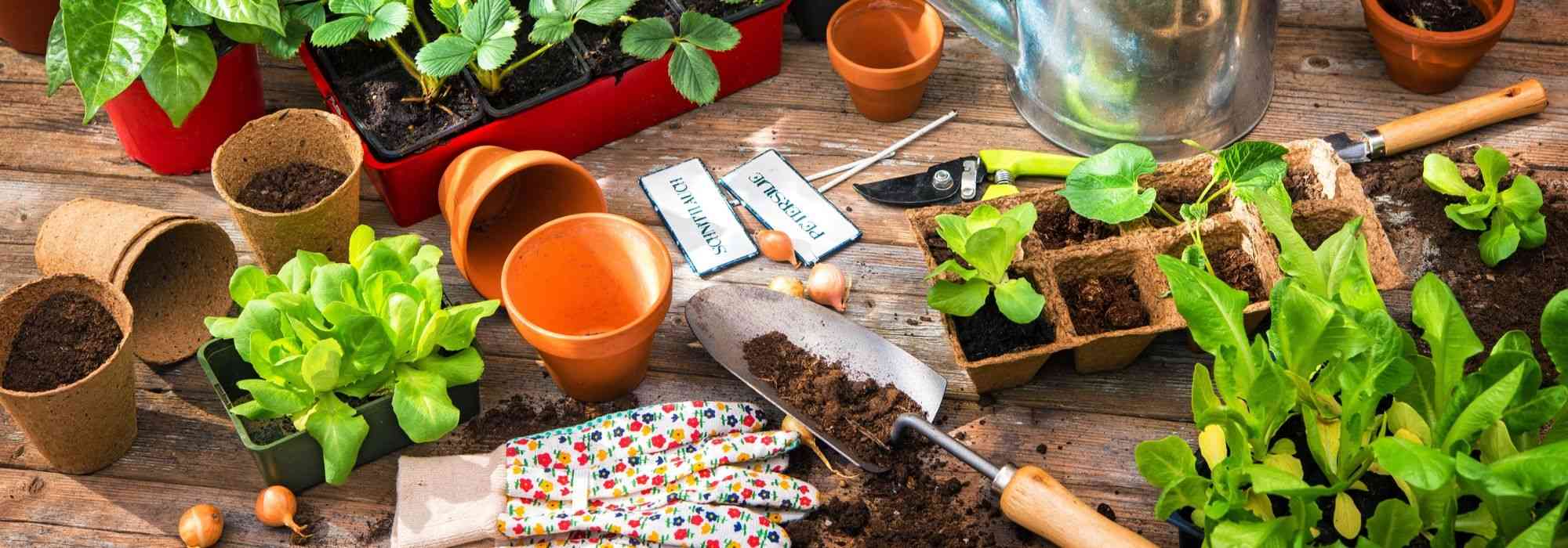 Jardinez en intérieur ou en extérieur avec cet accessoire de jardin à moins  de 40 euros