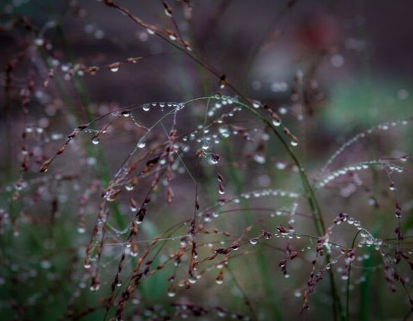 Octobre 2019 au jardin