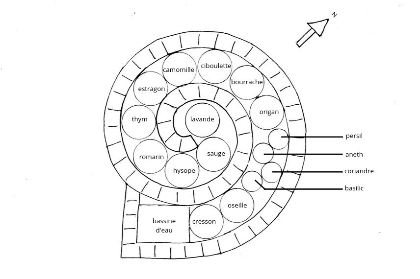 L'emplacement des plantes dans une spirale d'aromatique