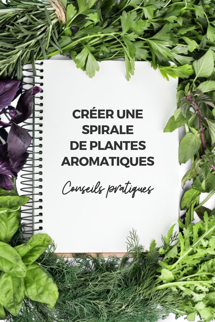 Spirales de plantes aromatiques : conseils pratiques