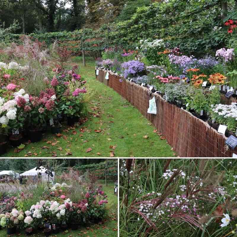 fete des plantes à beervelde en belgique