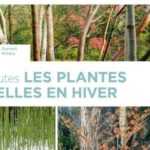 Toutes les plantes belles en hiver - James Garnett et Didier Willery - Ulmer