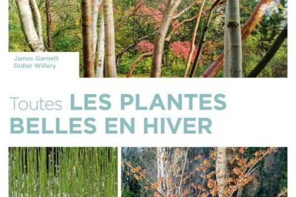 Toutes les plantes belles en hiver - James Garnett et Didier Willery - Ulmer