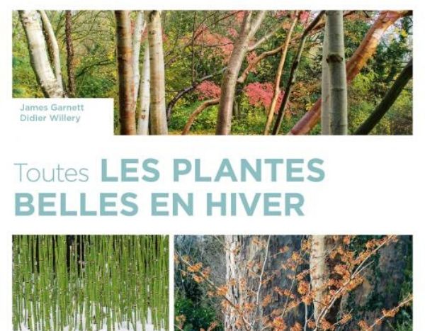 Toutes les plantes belles en hiver - James Garnett et Didier Willery - Ulmer