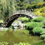 7 idées d’association pour jardin japonais