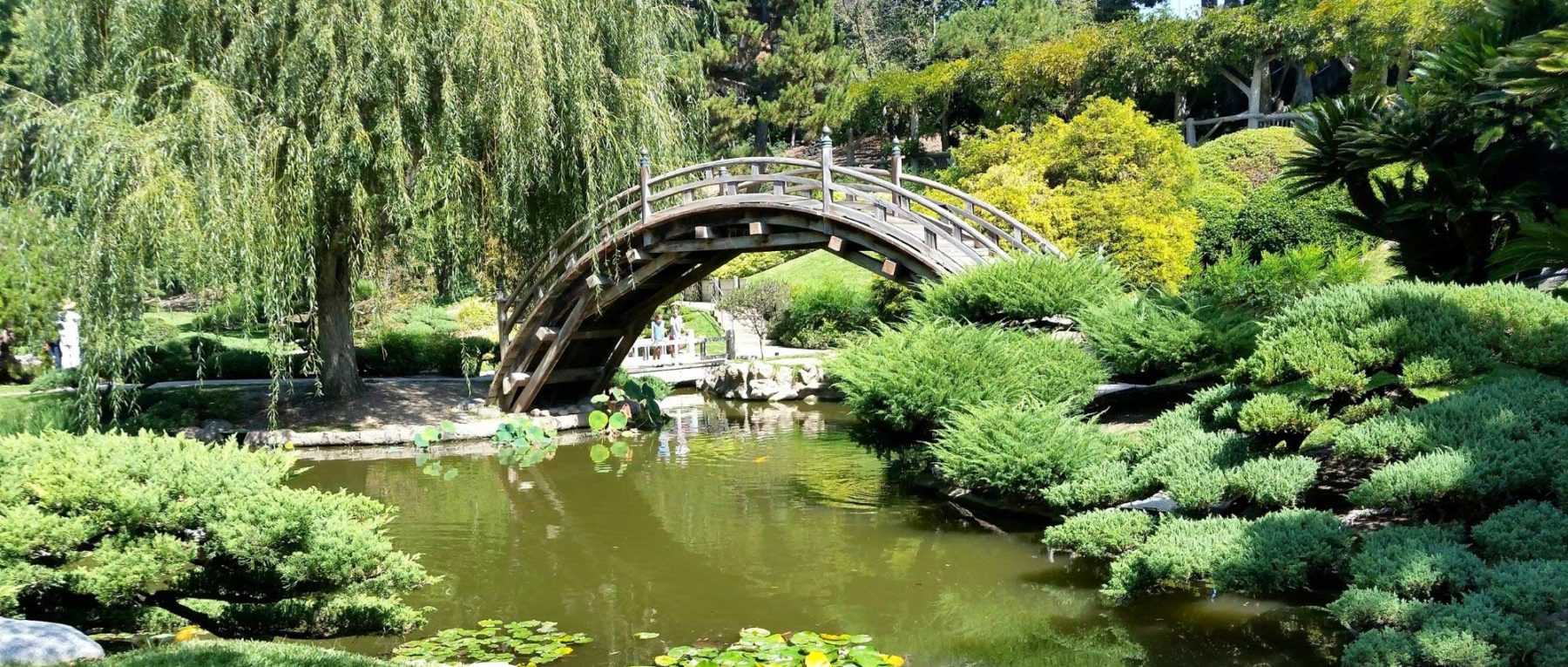 Le jardin japonais  Silence, ça pousse !