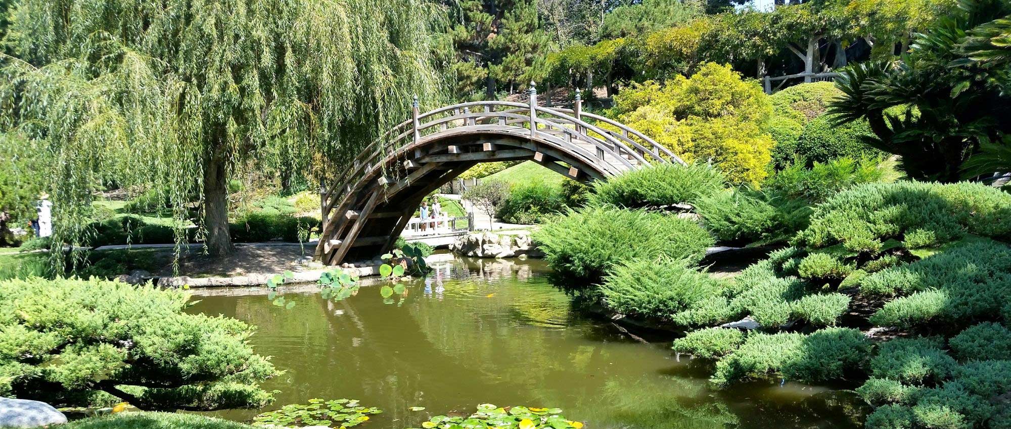 7 idées d’association pour jardin japonais