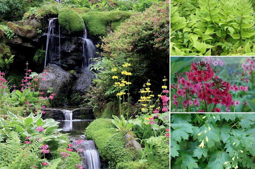 7 idées d'association pour jardin japonais - Promesse de Fleurs