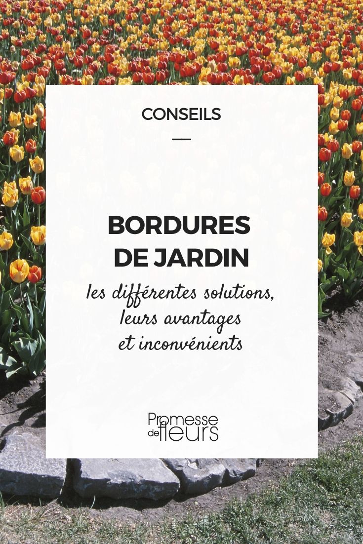 bordure de jardin : guide pour bien choisir