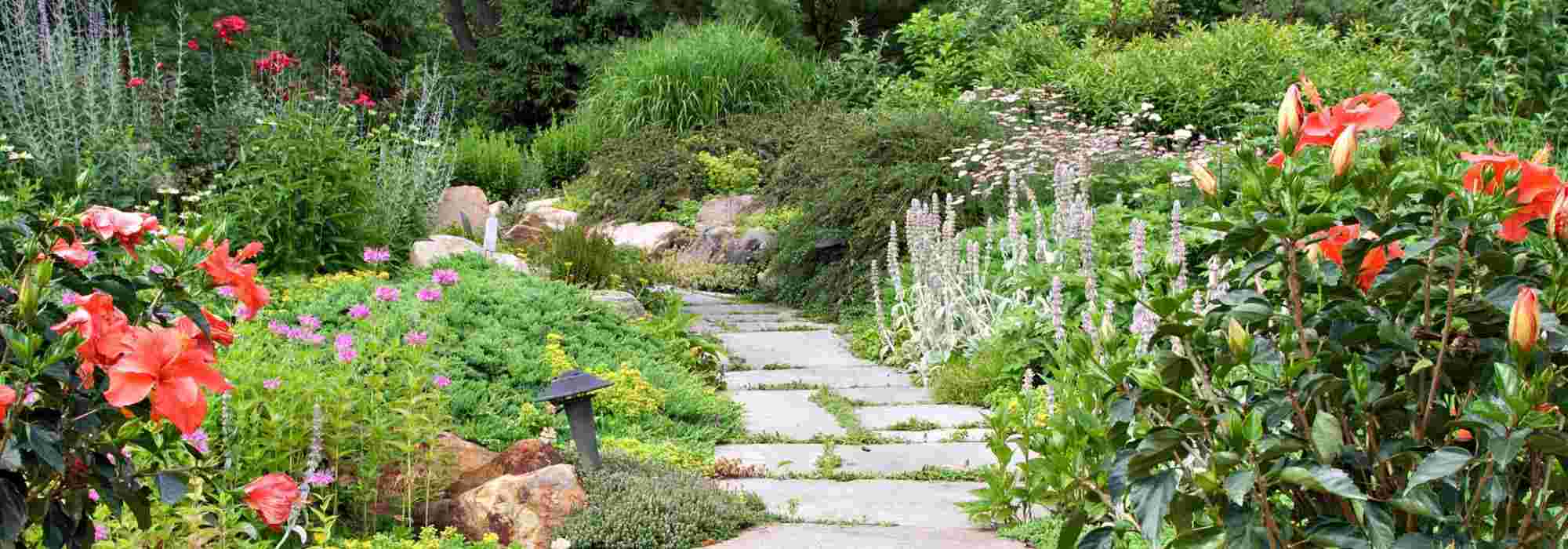 Jardin authentique : la bordure d'étang en pierre naturelle