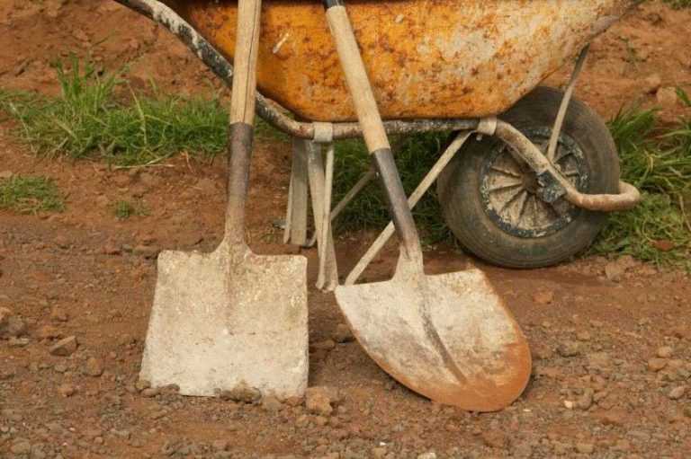Les Principaux Outils De Jardinage Et Leurs Fonctions Promesse De Fleurs Les Principaux Outils De Jardinage Et Leurs Fonctions Promesse De Fleurs