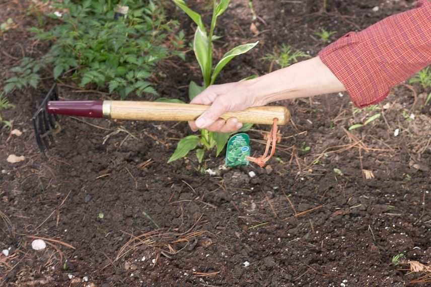 outil de jardinage-rateau a fleurs