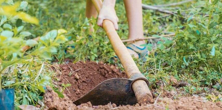 Pelle de jardin légère et manuelle, outil de jardinage pour