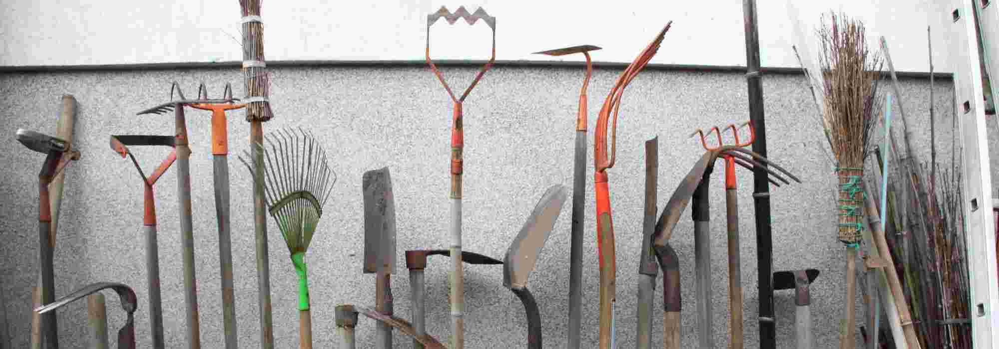 Outils de jardinage : les indispensables