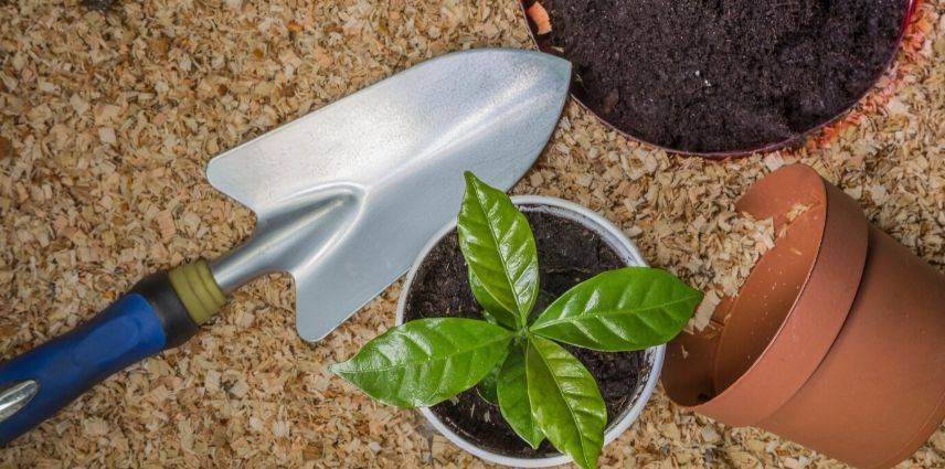 Outils de jardinage : 10 indispensables pour bien débuter