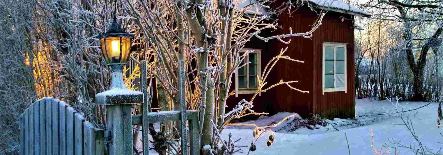 Que faire au jardin en hiver ?