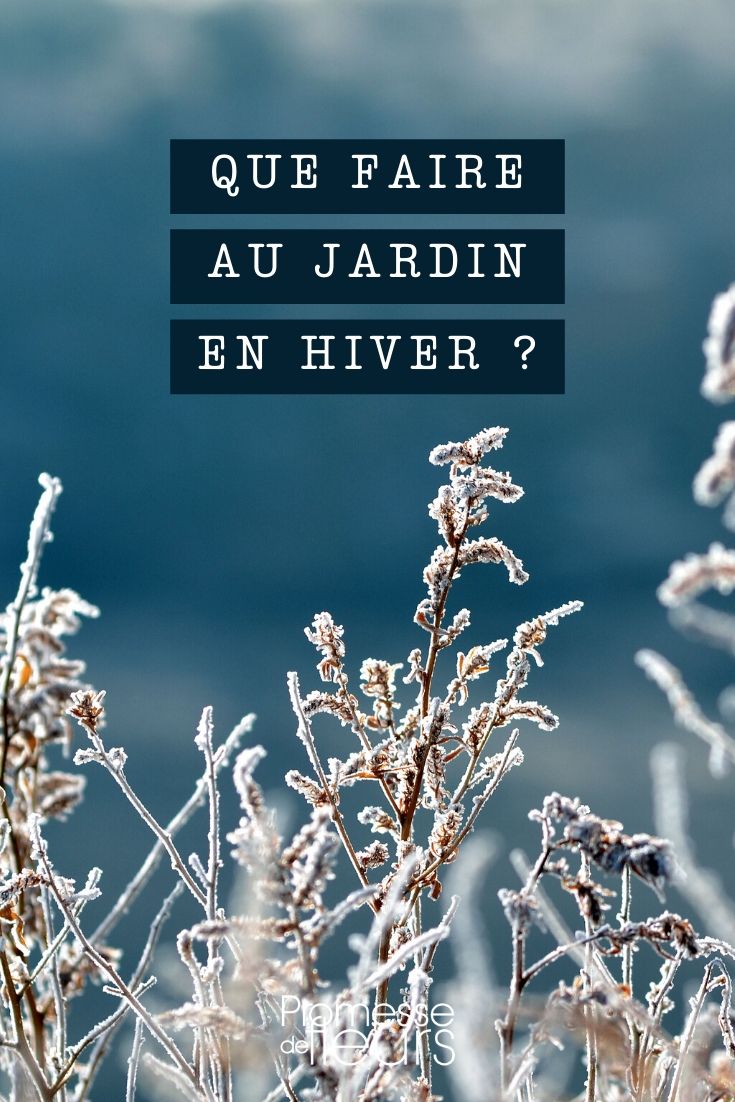 hiver : que faire au jardin ?