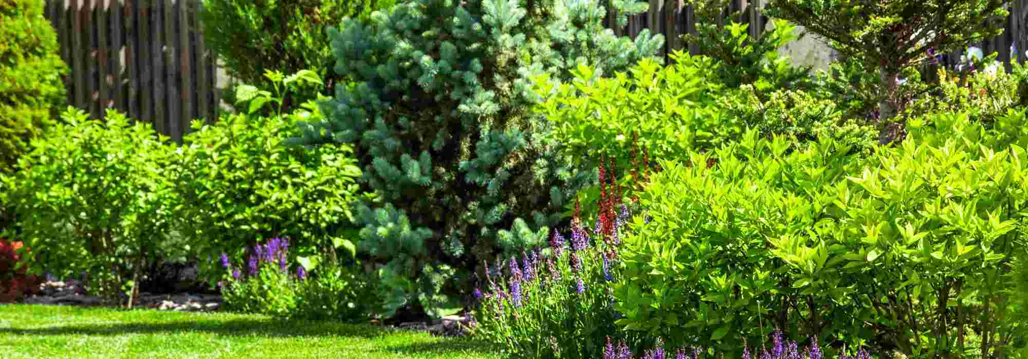 Jardin de lotissement : comment l'aménager et le personnaliser